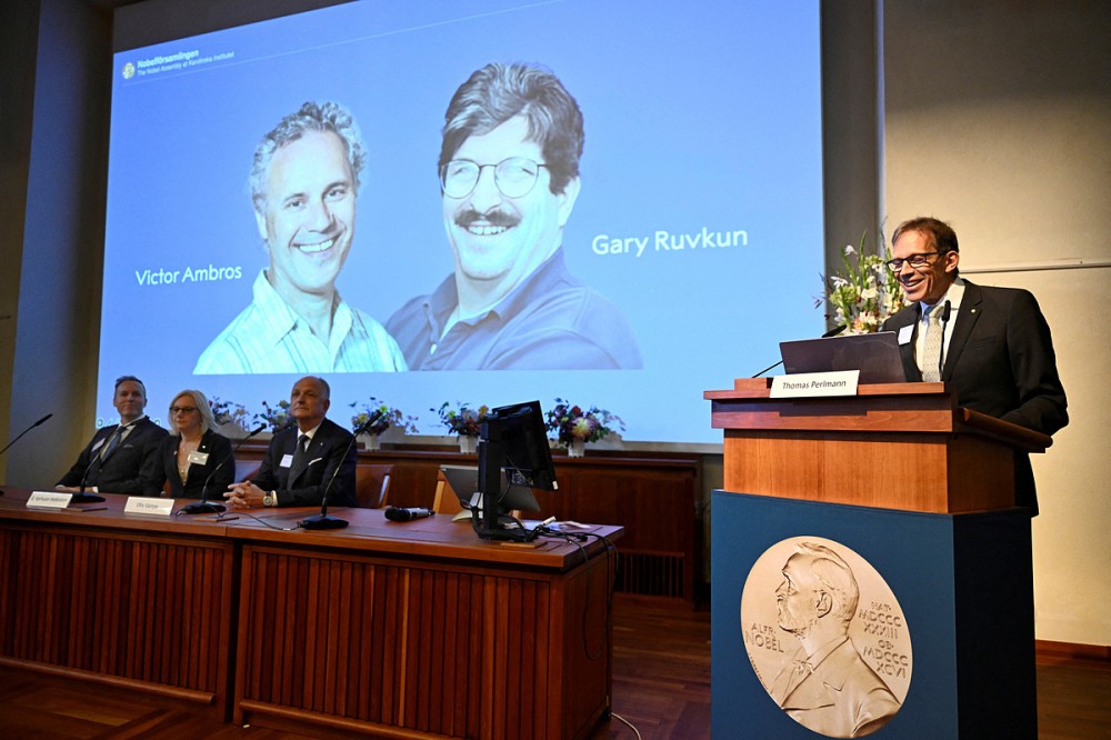 nobel-2-1728521718.jpg