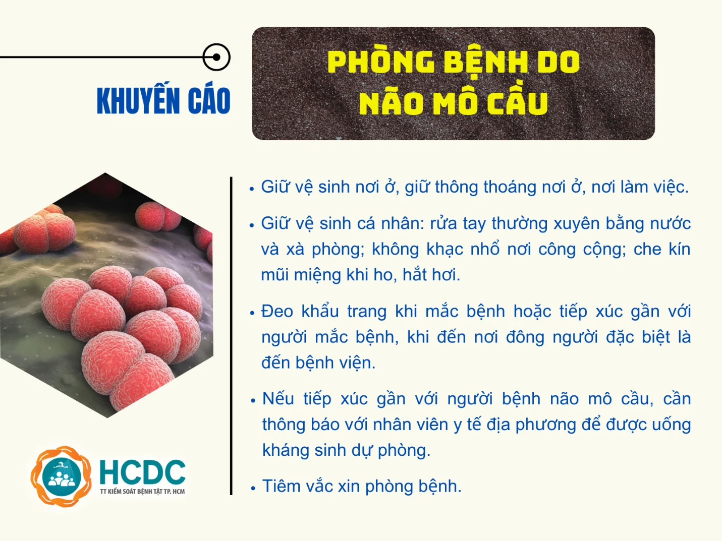 nao-mo-cau-1-1747098891.png