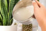 5 công dụng hữu ích của nước vo gạo không phải ai cũng biết