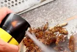Đề xuất siết quản lý chế phẩm diệt côn trùng, diệt khuẩn
