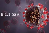 Omicron - Biến chủng nguy hiểm mới của virus SARS-CoV-2