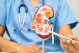 Các nhà khoa học tìm ra cách giúp thận có thể tự chữa lành