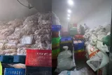 Đồng Nai: Phát hiện hàng tấn chân gà hết hạn sử dụng chờ 'phù phép'