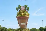 Đắk Lắk: Đưa sầu riêng từ vùng trồng lên hệ sinh thái thương hiệu, du lịch và thị trường số