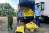 Quảng Ninh: Bắt giữ gần 1,8 tấn chân gà không rõ nguồn gốc chuẩn bị tuồn ra thị trường