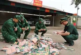 Kịp thời ngăn chặn 100 kg xúc xích đông lạnh không rõ nguồn gốc ở Lạng Sơn