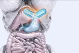 BioLife được cấp bằng sáng chế cho công nghệ đưa peptide qua đường uống