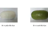 Thái Nguyên được cấp Giấy chứng nhận đăng ký chỉ dẫn địa lý cho sản phẩm bí xanh thơm 'Bắc Kạn'