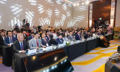 Lĩnh vực tim mạch: Từ phòng bệnh sớm đến những đột phá cứu sống người bệnh