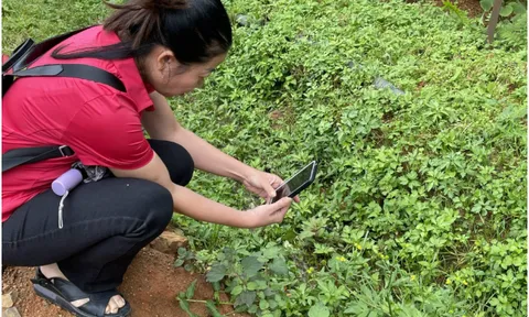 Từ cây thuốc bản địa đến công bố quốc tế