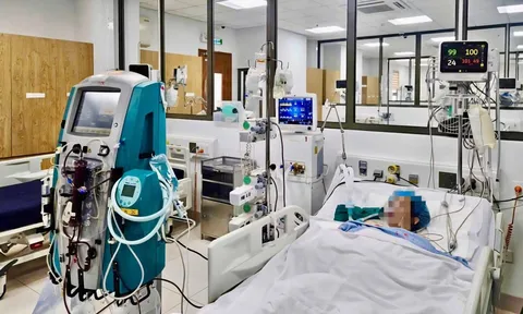 Coi chừng ngộ độc thực phẩm dịp đi chơi lễ