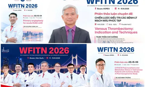 Việt Nam vận động đưa hội nghị can thiệp thần kinh thế giới về Đà Nẵng