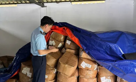 Hà Nội phát hiện 250.000 gói súp giả mạo nhãn hiệu Acecook
