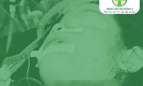 TP.HCM: Cấp cứu bé gái bị mảnh tô vỡ cứa sâu vùng cổ, tổn thương khí quản và mạch máu