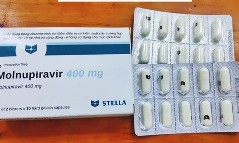 Sáu doanh nghiệp trong nước nộp hồ sơ đăng ký thuốc điều trị Covid-19 Molnupiravir