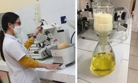 Thuốc điều trị Covid-19 của Việt Nam có nhiều triển vọng