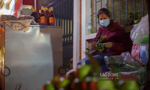 Lãnh đạo Bệnh viện Tuệ Tĩnh: "Đã tìm được nguồn trả lương cho y, bác sĩ"
