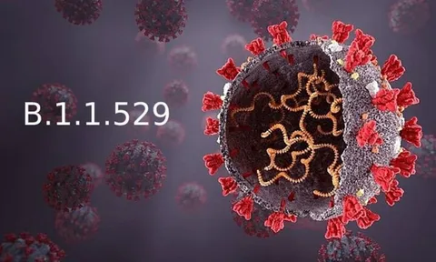 Omicron - Biến chủng nguy hiểm mới của virus SARS-CoV-2