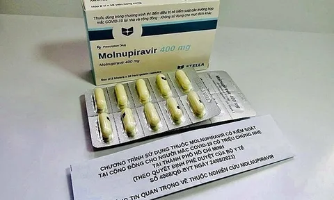 Thuốc kháng virus molnupiravir có những tác dụng phụ nào?