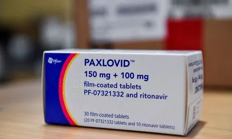 Pfizer triển khai thử nghiệm thuốc paxlovid trị COVID-19 ở trẻ em