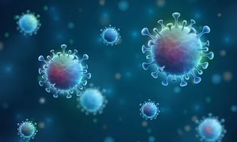 Nhật Bản phát hiện ca nhiễm biến thể XE đầu tiên