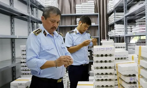 Hà Nội: Triệt phá cơ sở phù phép kính áp tròng Trung Quốc thành hàng 'Korea'