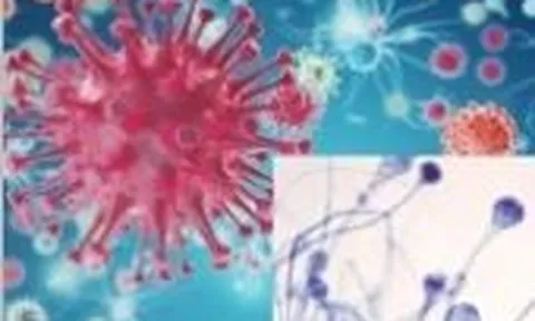 Hai người tổn thương hàm mặt dẫn đến tử vong là do nhiễm nấm đen?