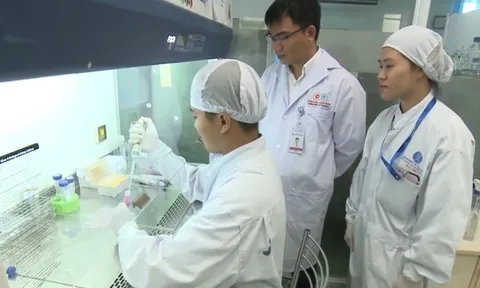 Việt Nam nghiên cứu thành công thuốc điều trị viêm phổi mạn tính từ tế bào gốc