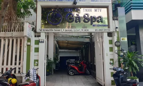 Lại tiếp tục bị phạt, còn bao nhiêu cơ sở Gà Spa tại TP.HCM 'trong sạch'?