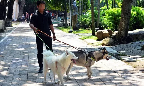 Số ca tăng đột biến, Bộ Y tế cảnh báo nguy cơ bùng phát bệnh dại