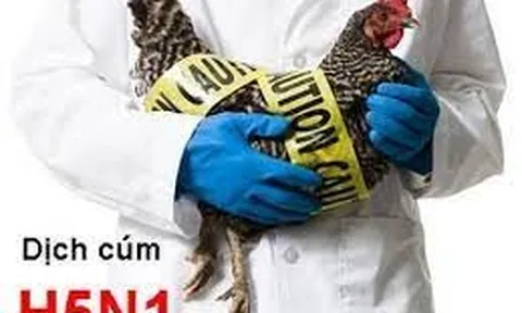 Bộ Y tế cảnh báo nguy cơ lây lan dịch khi phát hiện ca bệnh cúm A(H5) trên người đầu tiên sau 8 năm