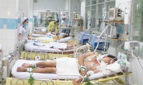 TP. HCM: Dịch sốt xuất huyết diễn biến phức tạp đã có 29 người chết, 113 ổ dịch trong cộng đồng