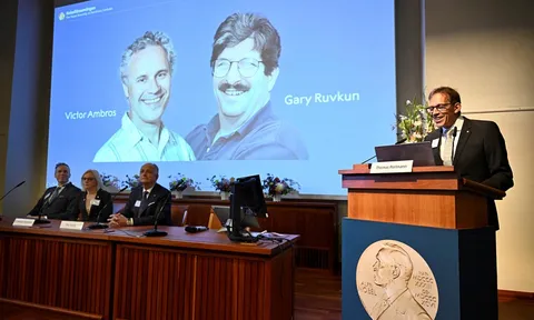 Giải Nobel Y Sinh 2024: Phát hiện lớn về micronRNA