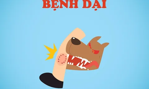 Bộ Y tế thông tin về bệnh dại lây truyền từ động vật sang người