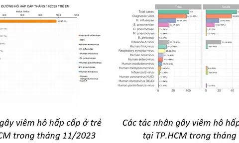 HMPV không phải là virus mới, từng được phát hiện là 1 trong những tác nhân gây viêm hô hấp ở trẻ em năm 2023, 2024