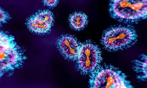 Châu Phi: Dịch tả hoành hành tại nhiều khu vực khiến ca tử vong tăng cao