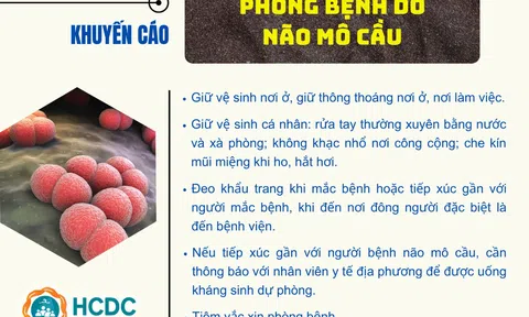 Những điều cần biết về bệnh não mô cầu