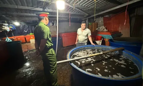 Triệt phá đường dây ngâm 3.000 tấn ốc bằng hóa chất dùng trong xây dựng