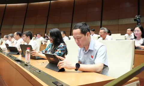 Đại biểu Quốc hội: Y tế phải là cấu phần thiết yếu của hạ tầng đô thị