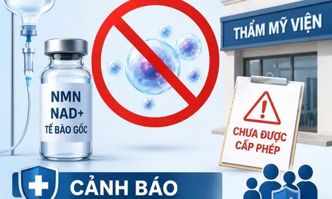 Hà Nội cảnh báo dịch vụ làm đẹp, chữa bệnh quảng cáo tế bào gốc chưa được cấp phép