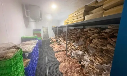 Triệt phá đường dây 'phù phép' hơn 50 tấn thịt lợn thành 'đặc sản' tuồn ra chợ Tết