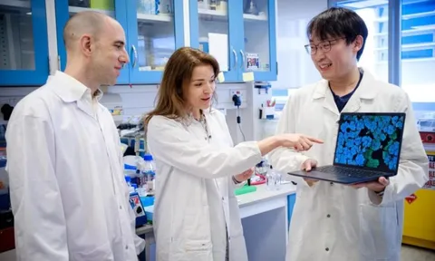 Nghiên cứu đột phá từ Singapore giúp vô hiệu hóa vi khuẩn kháng thuốc