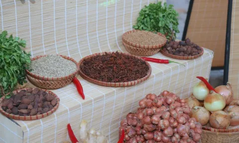 Sáng tạo IP văn hóa từ di sản văn hóa phi vật thể 'Phở' Hà Nội