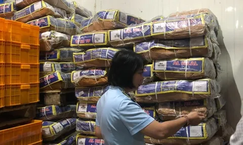 Cà Mau: Tạm giữ hơn 2,6 tấn thực phẩm đông lạnh nhập khẩu vi phạm về nhãn hàng hóa