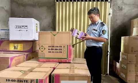 Xử phạt 240 triệu đồng công ty bán phân bón giả tại Đồng Tháp