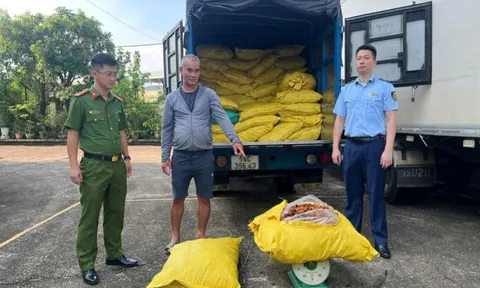 Quảng Ninh: Bắt giữ gần 1,8 tấn chân gà không rõ nguồn gốc chuẩn bị tuồn ra thị trường