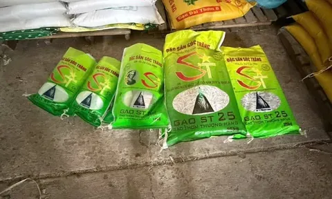 Khởi tố vụ gạo ST25 giả, siết kiểm soát để bảo vệ thương hiệu gạo Việt