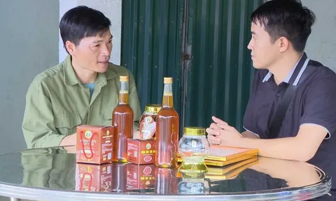 Khai thác thế mạnh bản địa: Động lực bứt phá kinh tế cho vùng cao Quảng Ninh