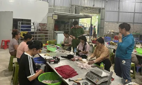 Lạng Sơn: Triệt phá 2 cơ sở chế biến chân gà không rõ nguồn gốc, thu giữ 5 tấn tang vật