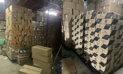 Từ vụ chồng cũ Hằng Du Mục bị khởi tố: Tầm quan trọng của việc bảo hộ nhãn hiệu trong hoạt động kinh doanh